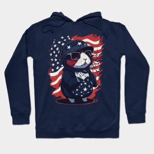 4th of july Hoodie